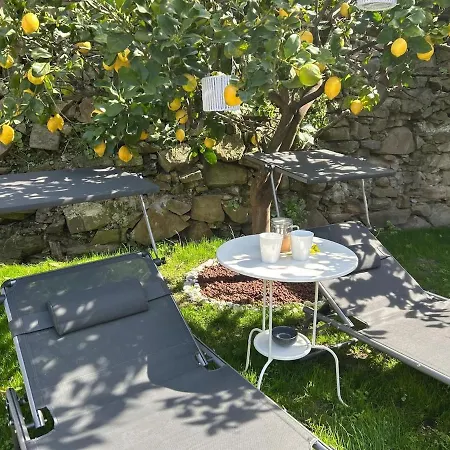 Apartment Gigi's Patio, Giardino Manarola